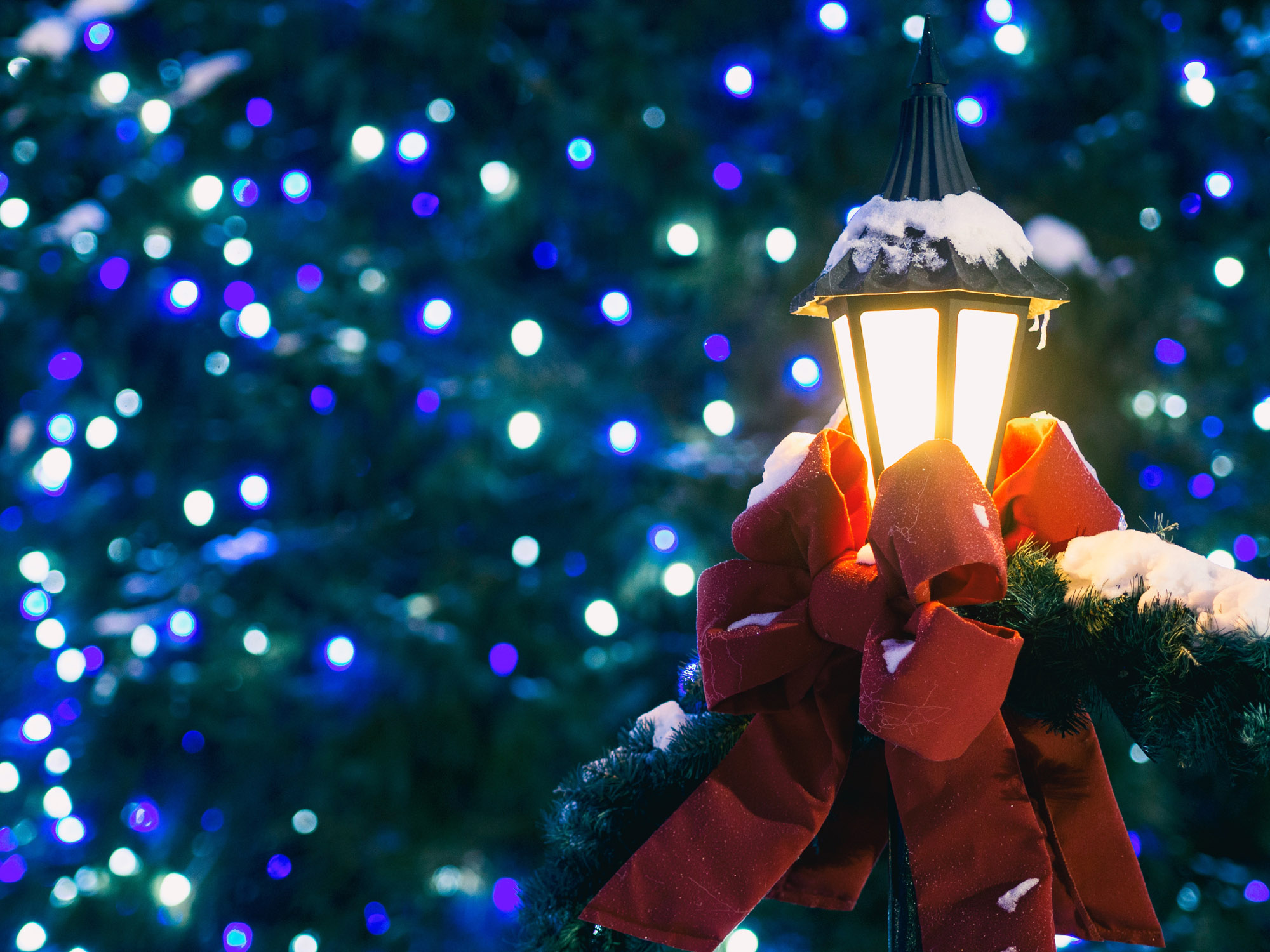 holiday lights in Asheville