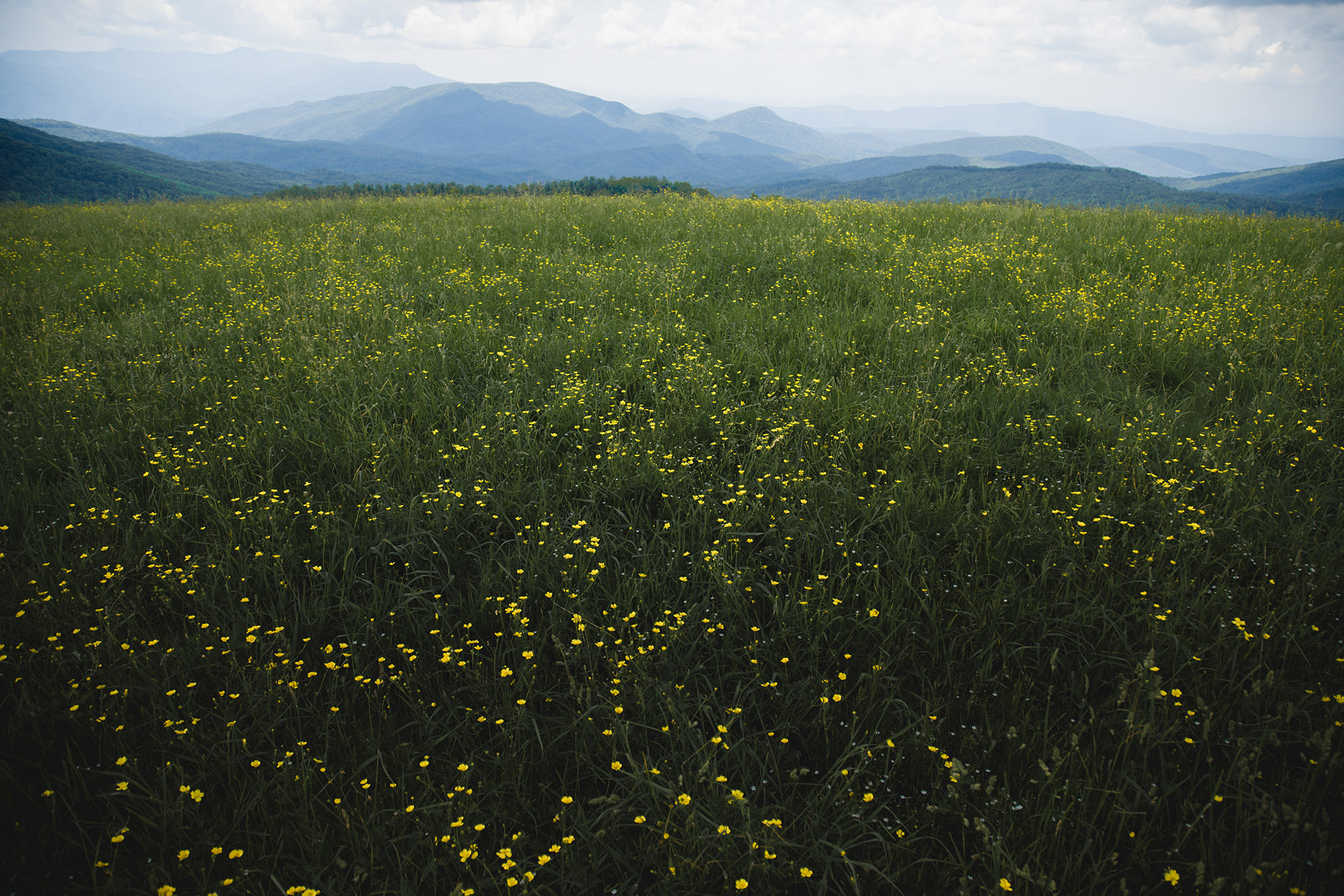 buying land in asheville NC