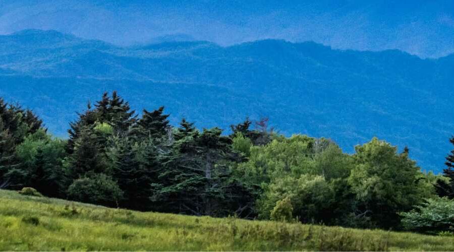 View of mountains, trees, and a field in the foreground.