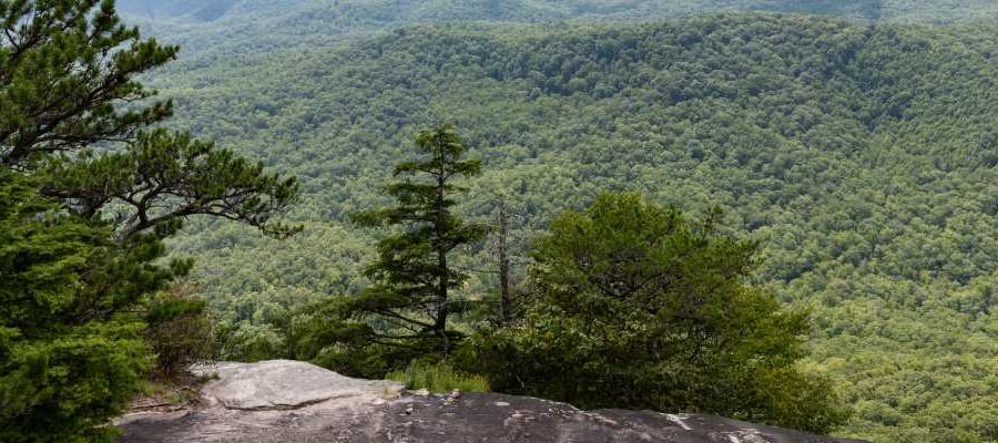 View of mountains and trees.