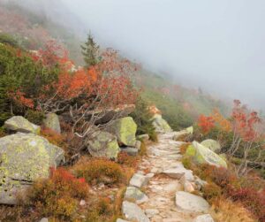 Misty trail in Blue Ridge Mountains in Fall.