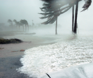 Florida climate disasters result in skyrocketing homeowners insurance.
